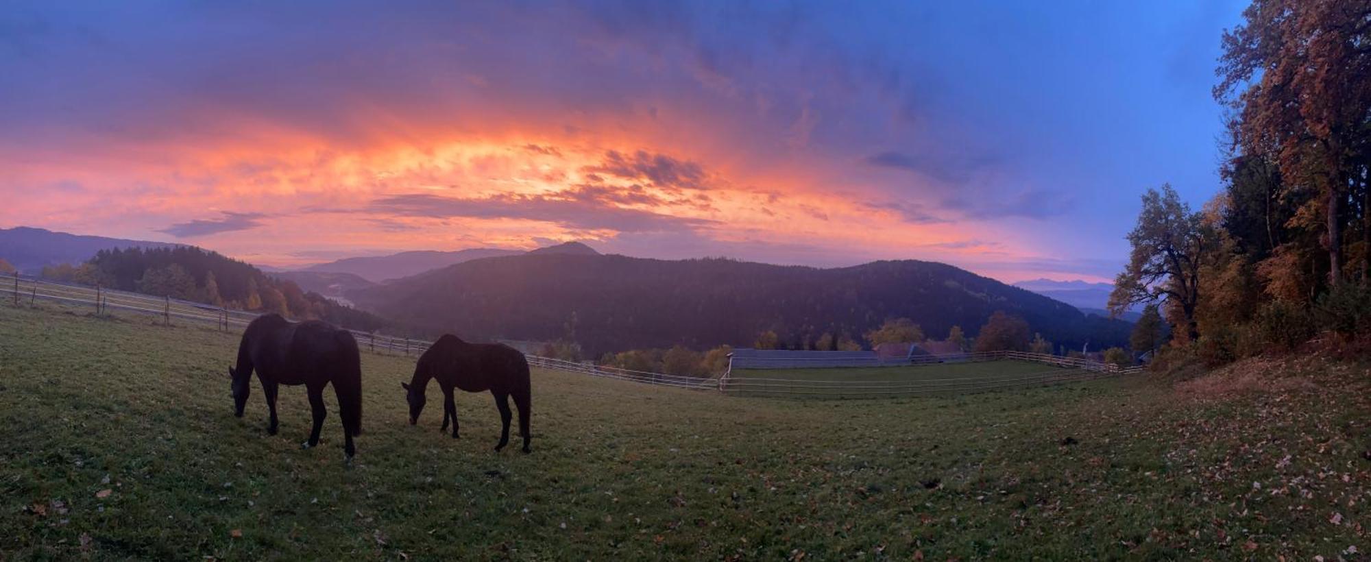 Little Farm Apartments Feldkirchen in Kärnten Esterno foto