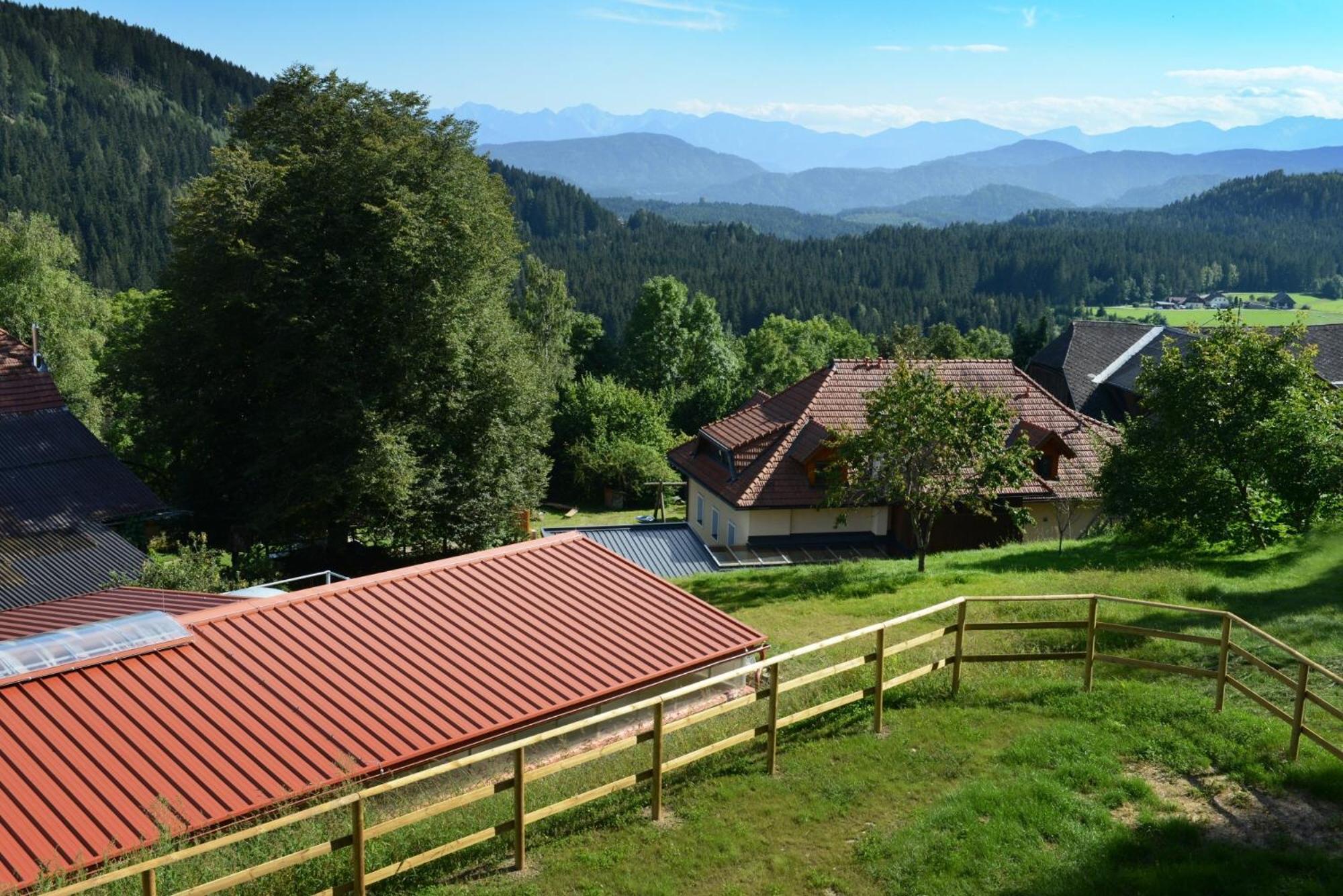 Little Farm Apartments Feldkirchen in Kärnten Esterno foto